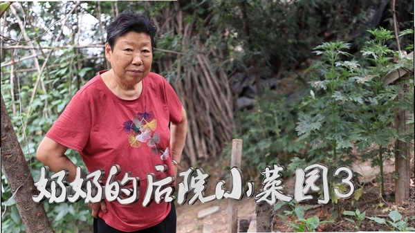 奶奶的小菜园运行截图