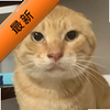 liquidvivo�����������°汾ͼ��