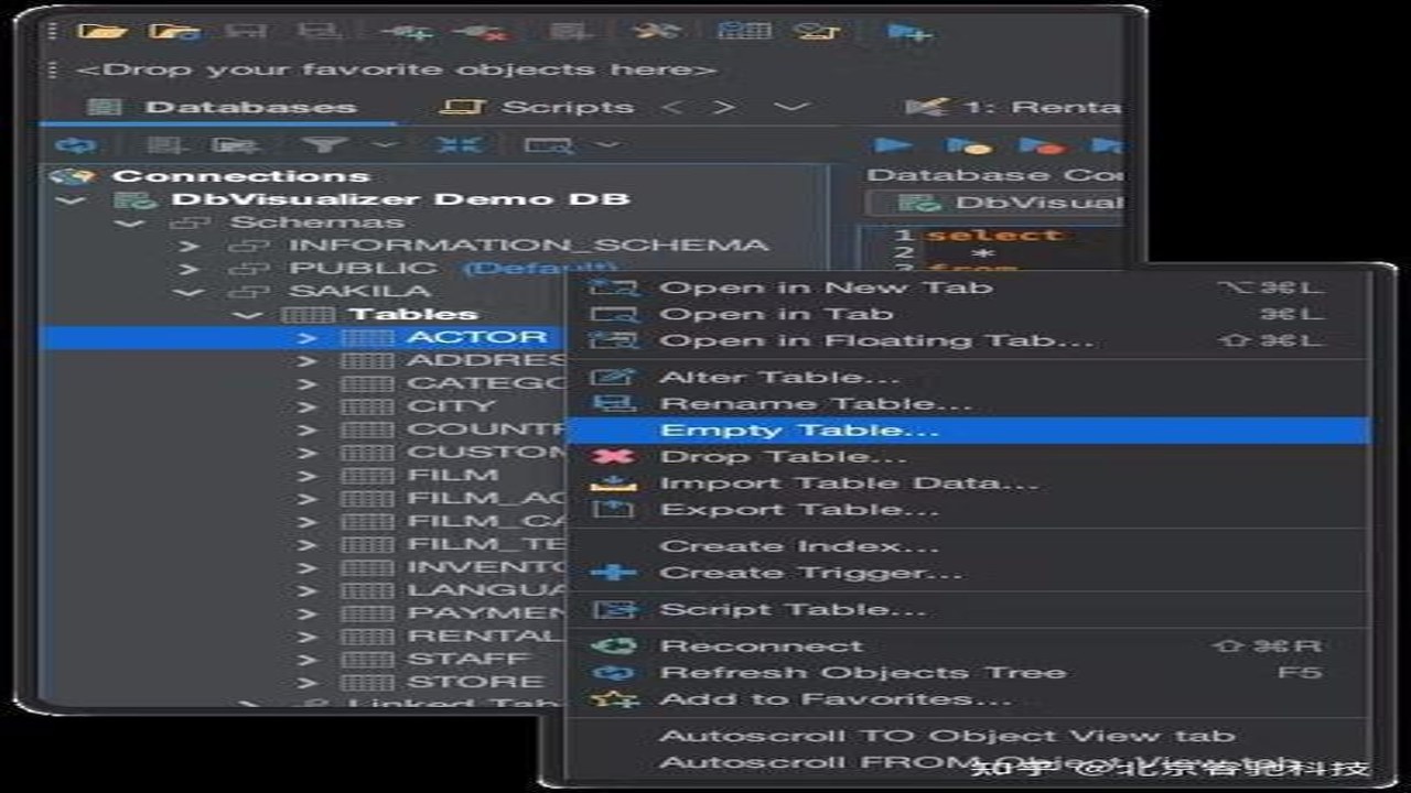 DbVisualizer 26.2.4中文完整版界面截图