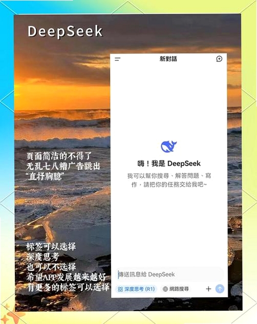 DeepSeek增强运行截图
