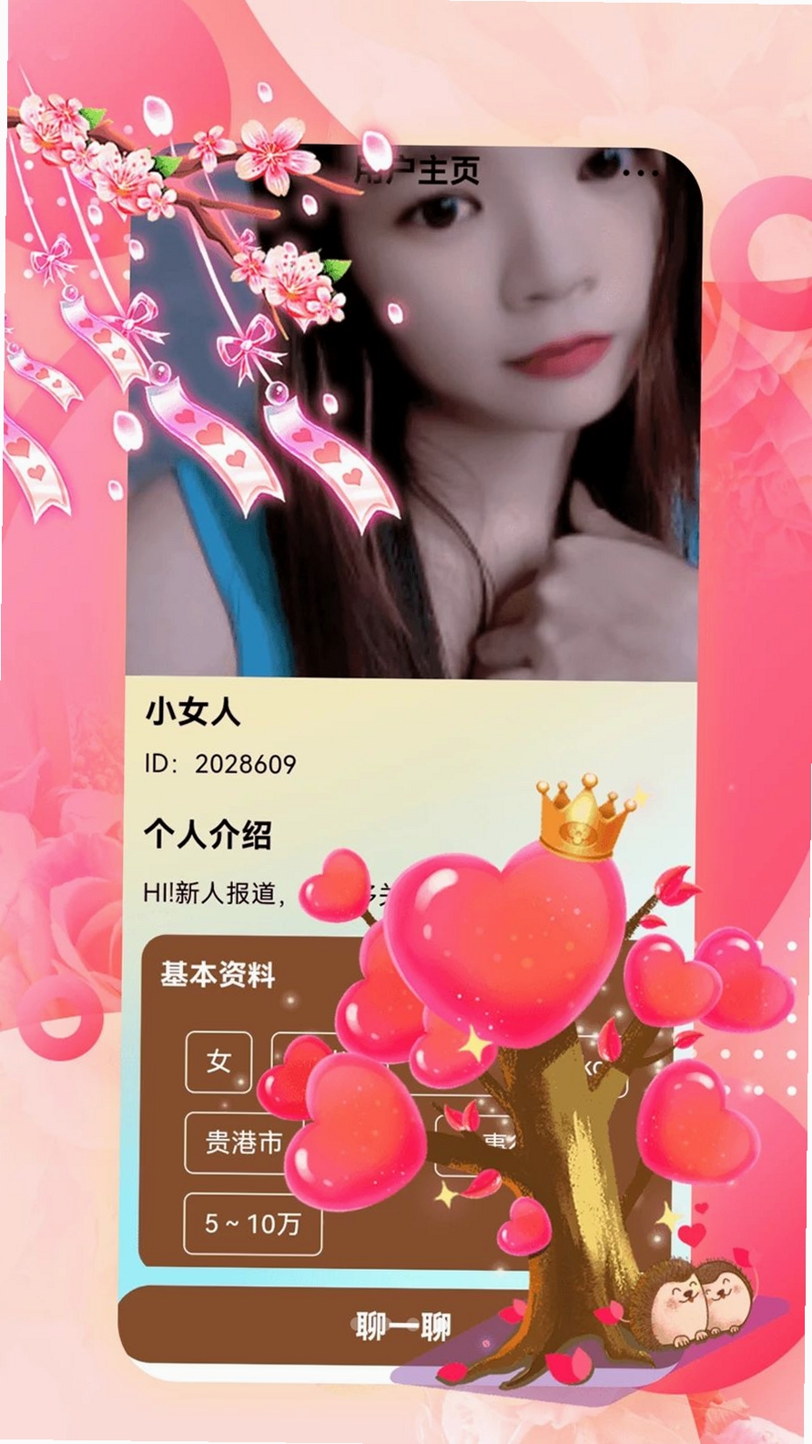 单身私聊运行截图