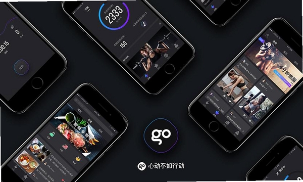 Gofat运行截图