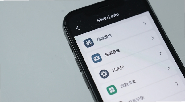 Lintu功能模块界面特写,手机屏幕展示清晰的功能列表与图标排列,背景为柔和浅灰,画面细节突出界面整洁感,带软件名称标识
