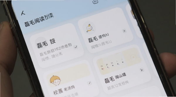 磊毛阅读 书源管理列表界面 分组标签 简洁卡片式布局 手机屏幕特写 清晰文字 柔和配色