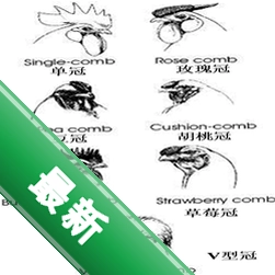 慢图浏览v0.1.59 轻量看图工具