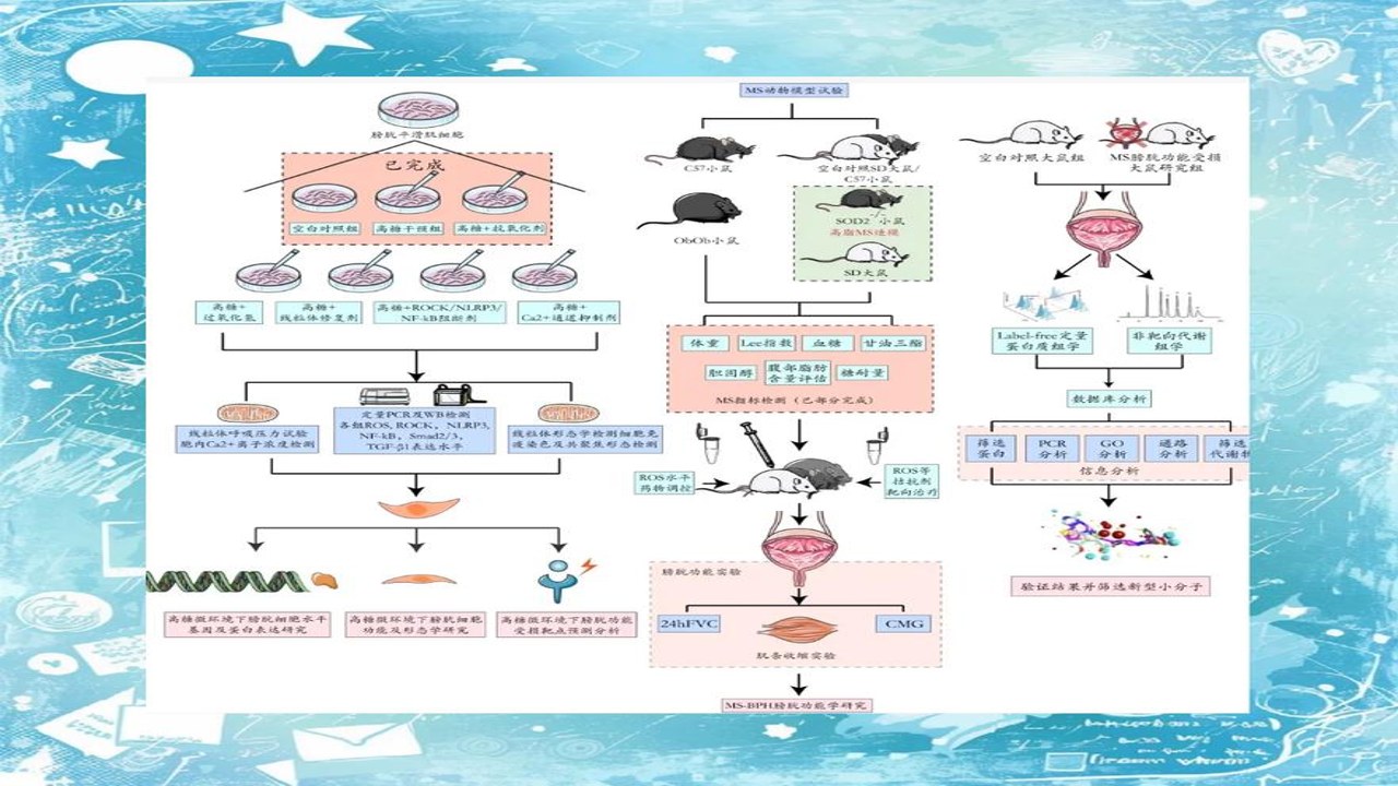 动物实验室合规管理流程图