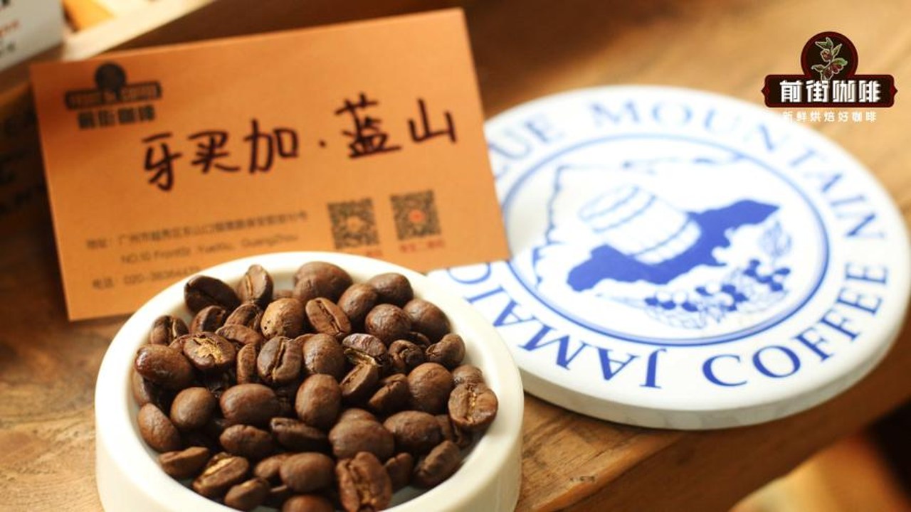 新蓝山咖啡正宗牙买加蓝山风味口感