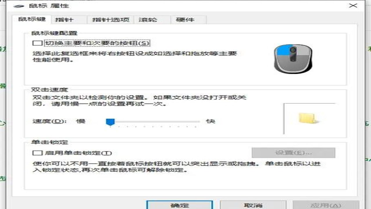 Pico Manager 设置选项