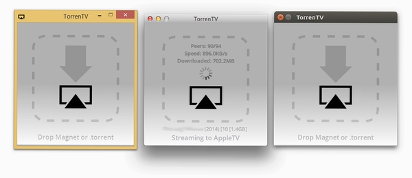Torrent Player运行截图