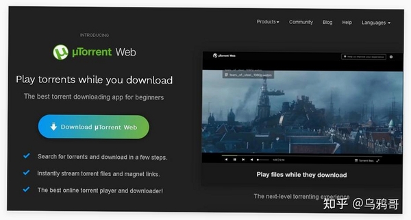 Torrent Player运行截图
