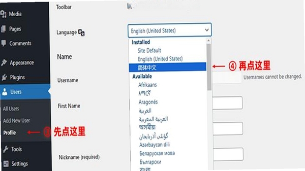NextDNS Manager 使用教程 界面