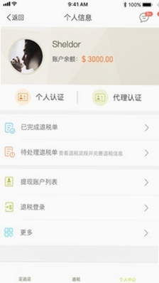 游税宝运行截图