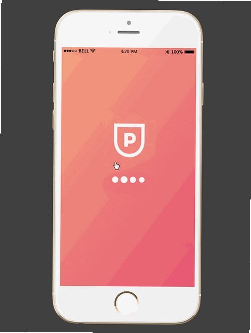 Pocket Sense运行截图