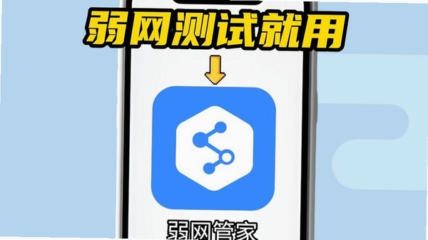 弱网管家运行截图