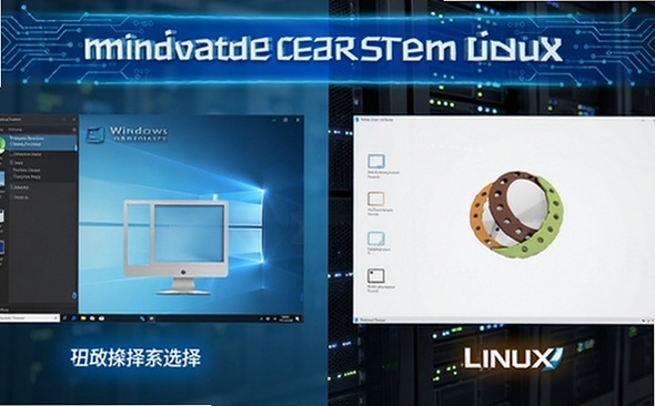 Windows VPS Linux VPS