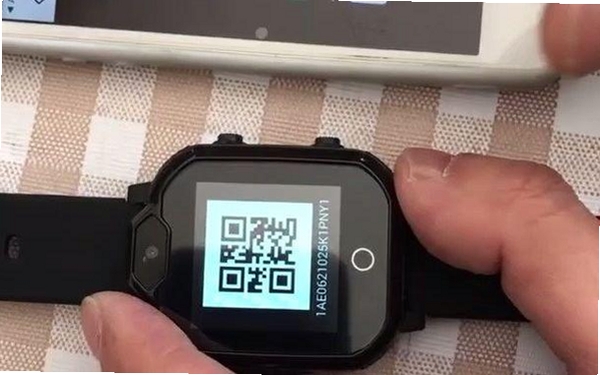 迪沃守护运行截图