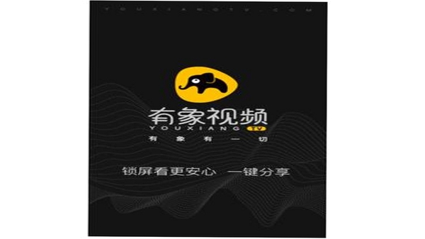 有象视频安装界面截图