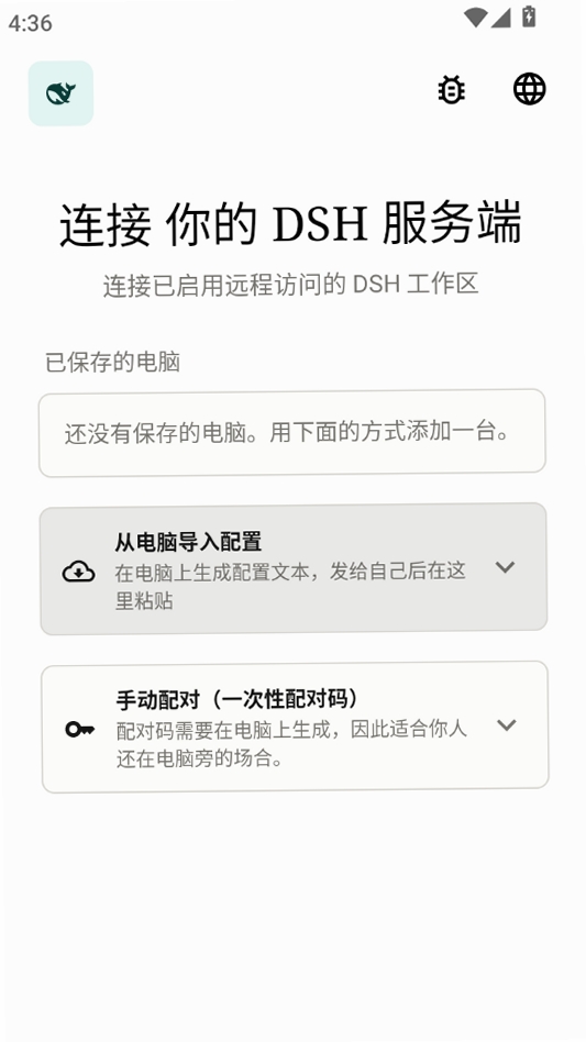 DSH伴侣运行截图