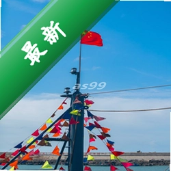 DSH伴侣图标