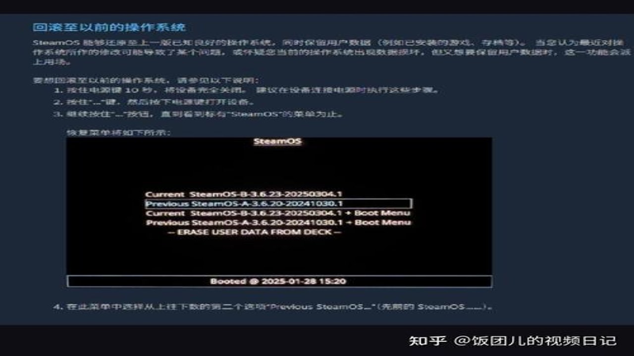 蕾卡的移动工坊steam中文版 黑屏报错修复