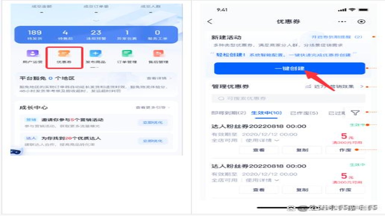 Deluxe Stores 独家优惠券使用界面与会员权益详情