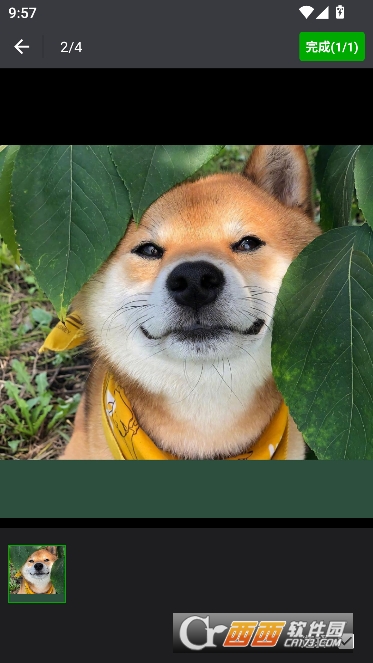 AI图片水印助手app官方最新版 AI图片水印助手app官方最新版