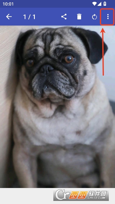 LeafPic���°�׿���İ�