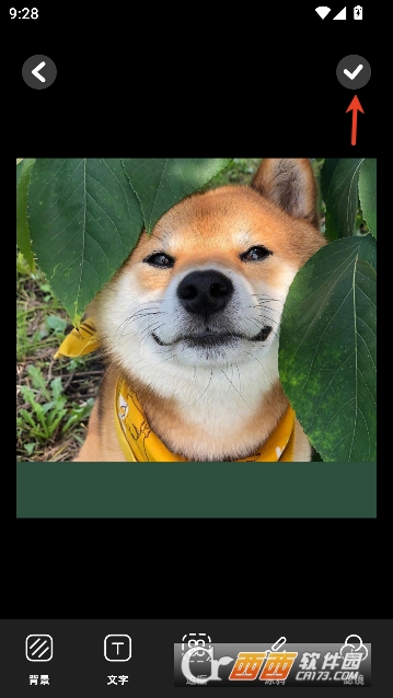 PS修图精灵app官方最新版 PS修图精灵app官方最新版