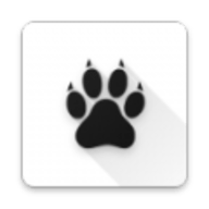 Amarok2026���°�׿��v0.10.0