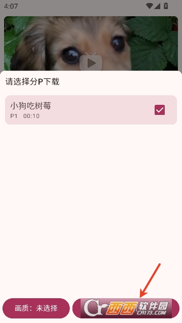 bilimiao纯净版无广告 bilimiao纯净版无广告