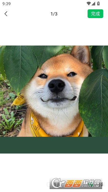 makerˮӡ��app���VIP��