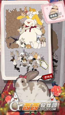 ����һ����������°�