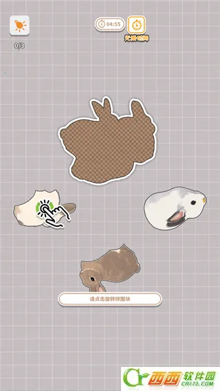 ����һ�������