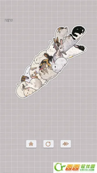 ����һ�������