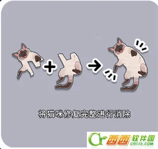 ����һ�������