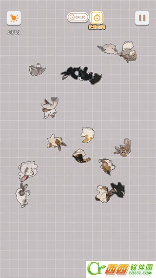 ����һ�������