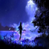 ����.Ӱ��app��Դ��v5.0.28