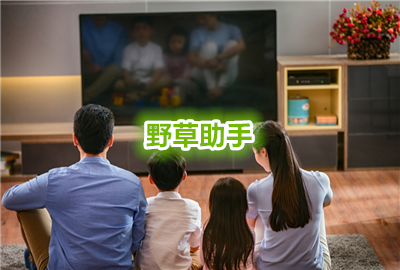 野草助手口令大全最新_野草助手电视版下载_野草助手手机版