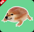 �ҵĵ������������°汾v1.02