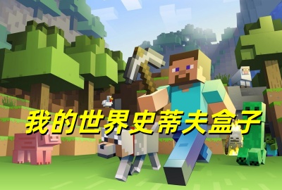 我的世界史蒂夫盒子下载_我的世界史蒂夫盒子公益直装下载_我的世界史蒂夫盒子科技下载