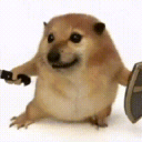 �ҵĵ��������������°�