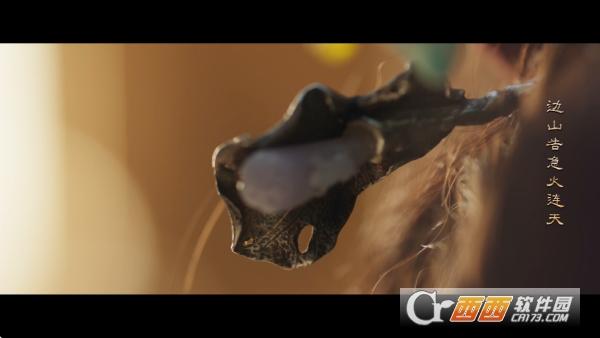 ������4k�����޹��