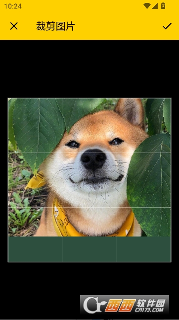 ƴ������app���°�