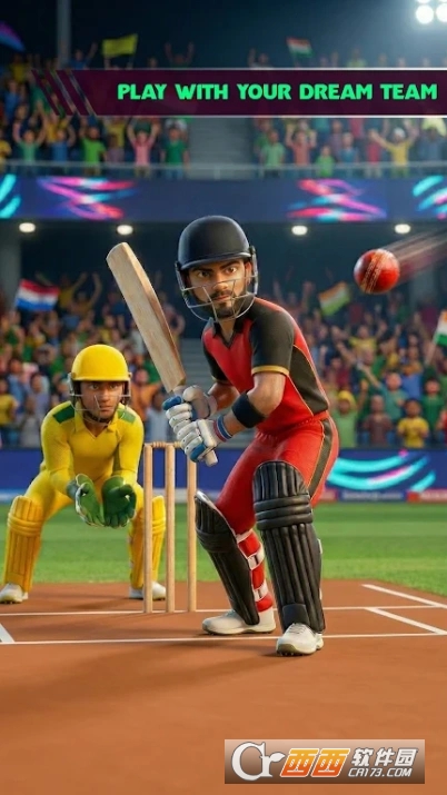 板球之王3D版 板球之王3D版