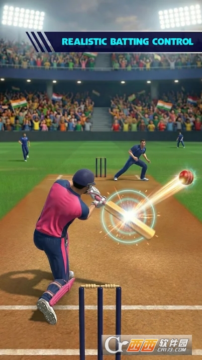 板球之王3D版 板球之王3D版