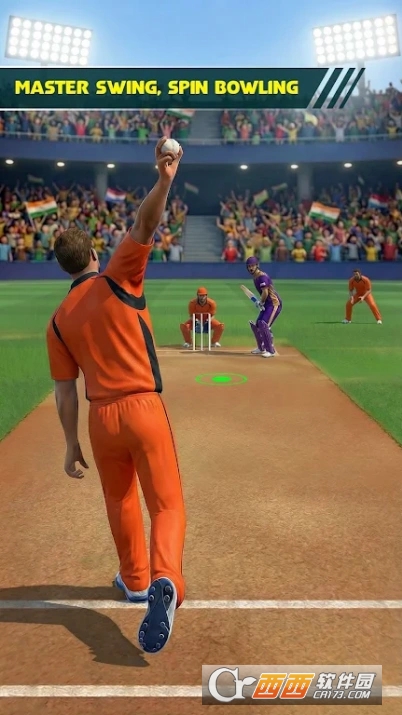 板球之王3D版 板球之王3D版