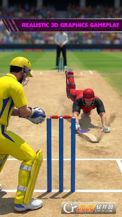 板球之王3D版 板球之王3D版