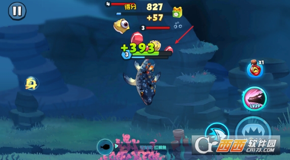 �����ٷ��������°�