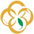 ��ƴ��app�ٷ��ͻ���v1.0.1