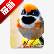 С��Ϻֱ��tv���Ӱ�v1.3.3